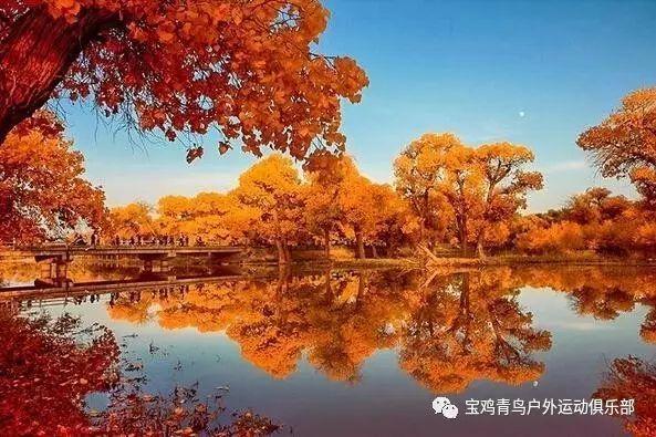 为什么现在越来越多的人喜欢生女孩?——专业知识问答网页